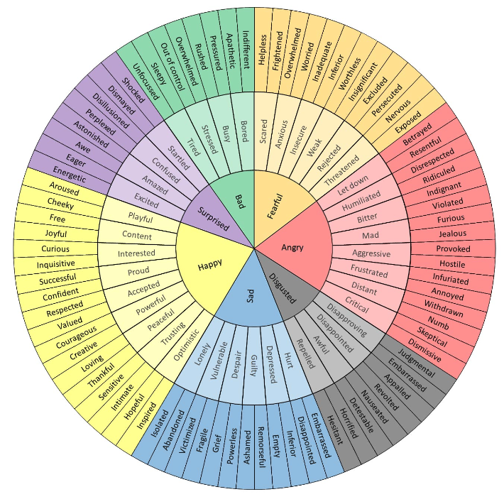 Feelings Wheel